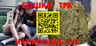 гидра Славгород
