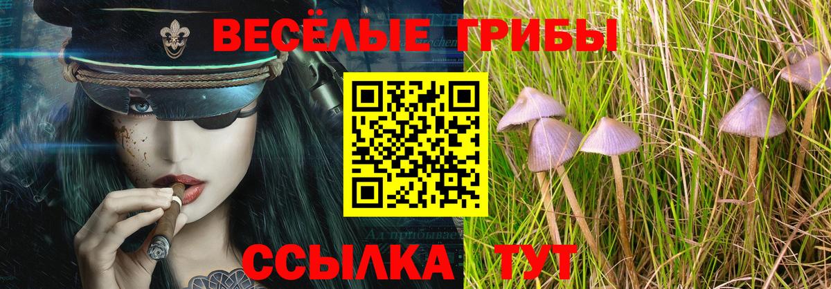 АМФ   Cocaine  Гашиш  Вход с VPN  Меф  Бошки Шишки  Менделеевск  Меф МЯУ МЯУ кристаллы 